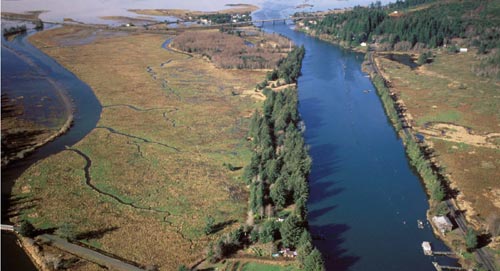 Oregon Coast Guided Walks, Science and History Events This Month 