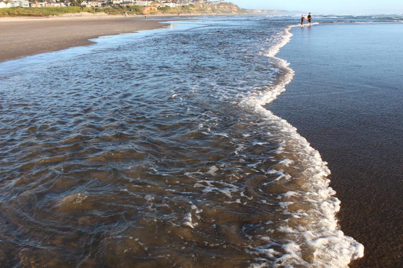 Waves That Go the Wrong Direction: Weird Oregon / Washington Coast Science