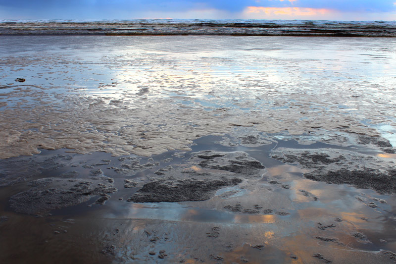 Intriguing Connection to Clams, Diatoms, Brown Waves and Washington / Oregon Coast 