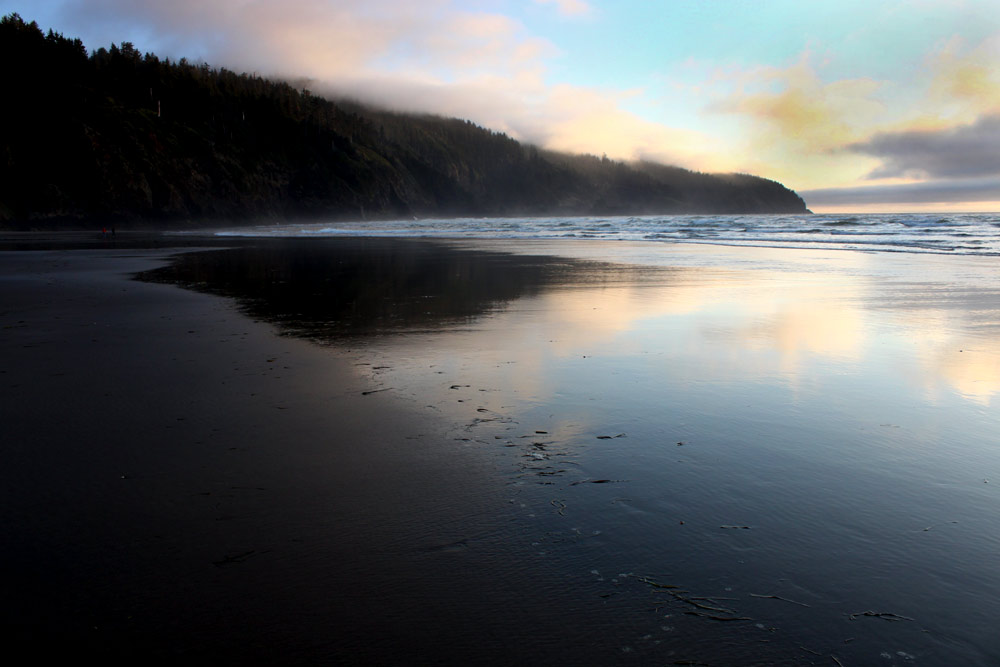 Cannon Beach Talk Looks at Oregon Coast Conservation with 'Living Amongst the Giants'