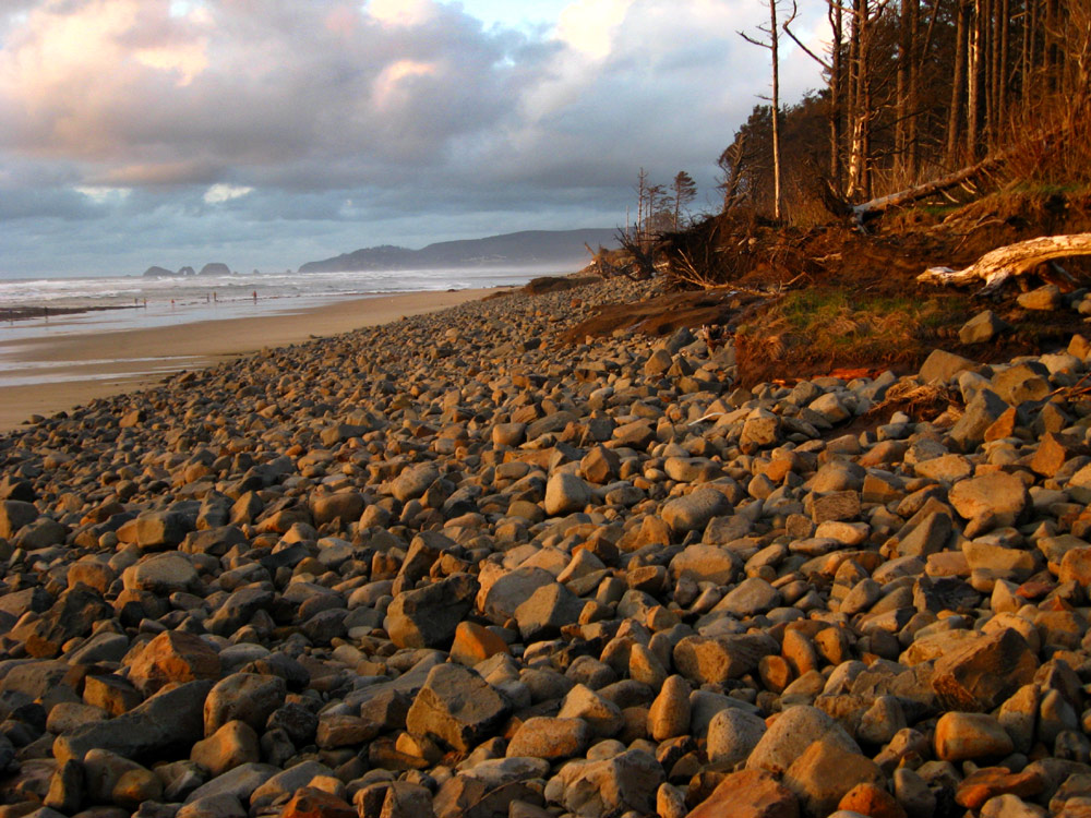 Last-Minute, Same-Day Camping Reservations Now At All Oregon Coast State Parks 