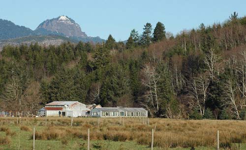 Summer of Discovering Nature Events at N. Oregon Coast's Alder Creek Farm