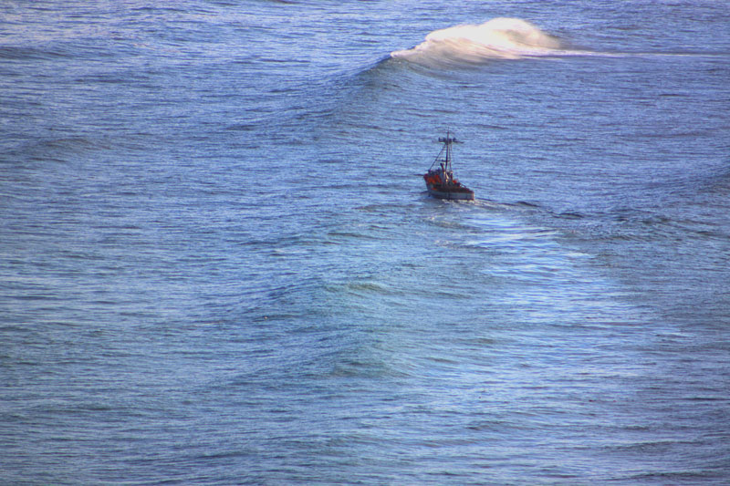 Rest of South Oregon Coast Opens to Dungeness Crab Boats 