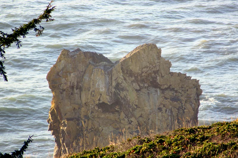 Manzanita and Cube Rock