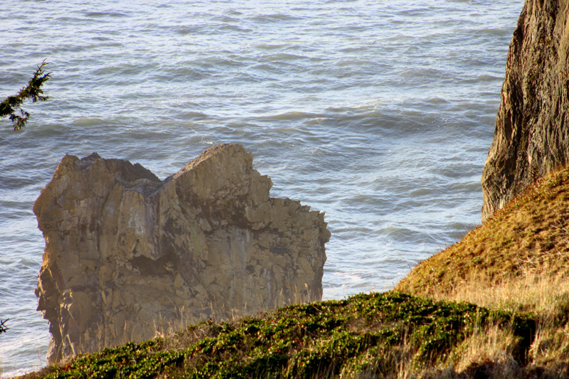 Odd and Crusty at Manzanita: Where the N. Oregon Coast Soars to 1600 Feet 