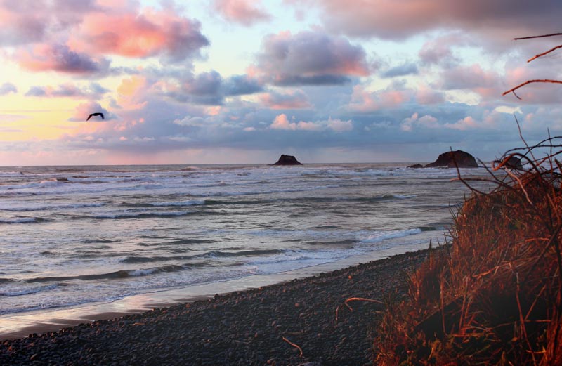 Encountering 'Magic Rocks Beaches' on Oregon Coast: Science of Why 
