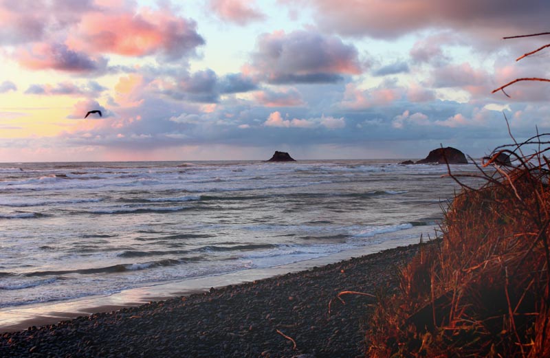 Two Enthralling, Semi-Secretive Coves of the Oregon Coast 