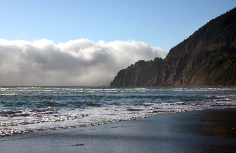 To Beach or Not to Beach: Fun Run To Benefit the Oregon Coast 