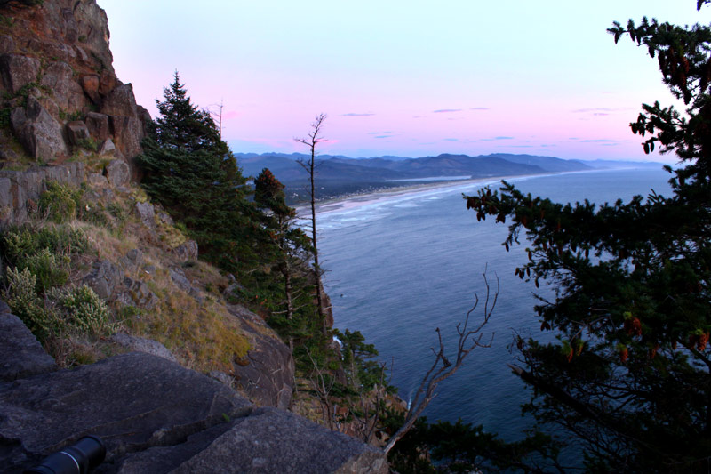 What is This Annoying Domoic Acid Stuff? And Why It's Affecting the Oregon / Washington Coast