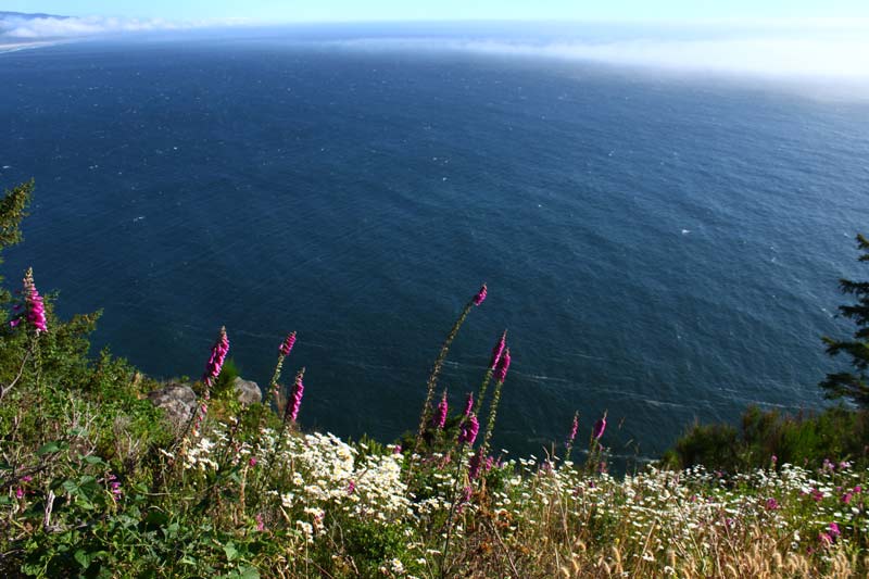 Manzanita Is Indeed 'Banana Belt' of N. Oregon Coast - Science Behind It