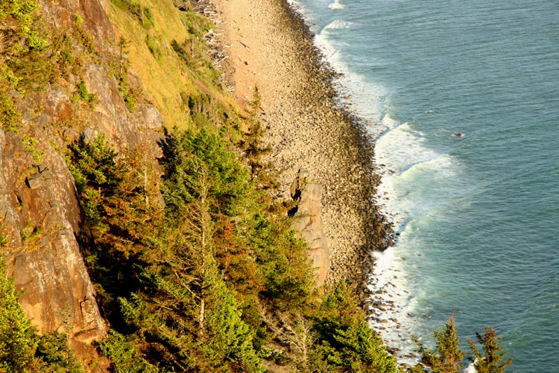 Vegas Firm Offers Cycling Tour of Half of Oregon Coast 