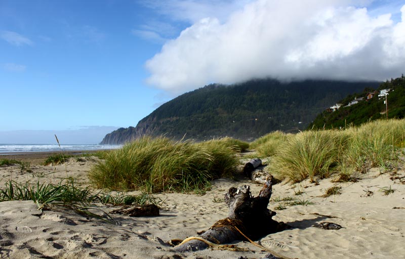 Manzanita's Mishmash of Oregon Coast Thrills, Dark History, Maybe Shooting Stars 