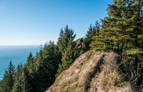 Hiking N. Oregon Coast's Neahkahnie Mountain: the Views, Surprises, Insider Tips 