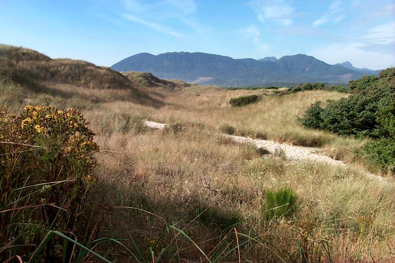 Nehalem Bay State Park