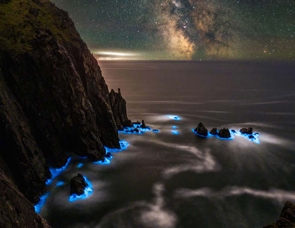Ploaia de meteoriți perseide și fitoplancton strălucitor pe coasta Oregon/Washington