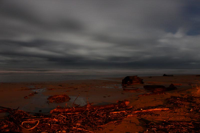 The Twists, Turns of One Nocturnal Oregon Coast Experience 