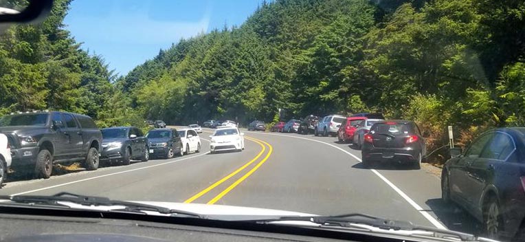 N. Oregon Coast Overcrowding, Trash, Parking Cause State Officials Take Action 