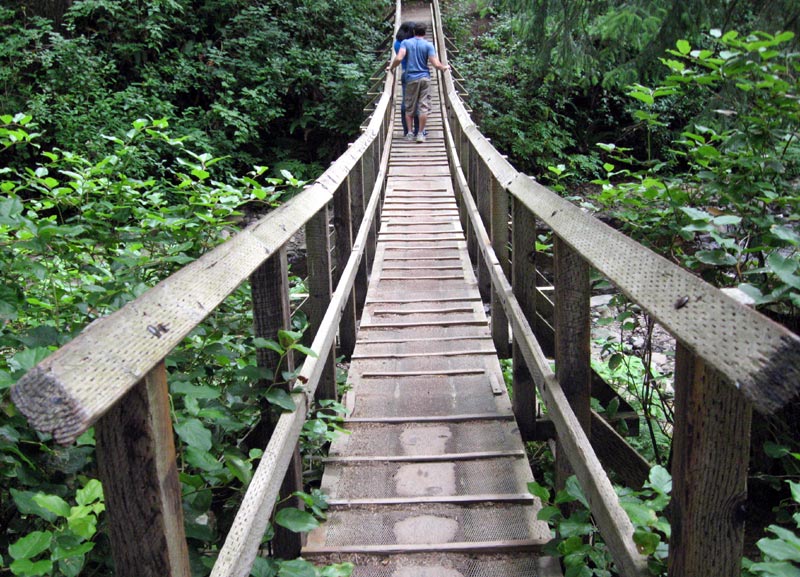 Oswald West State Park, Suspension Bridge