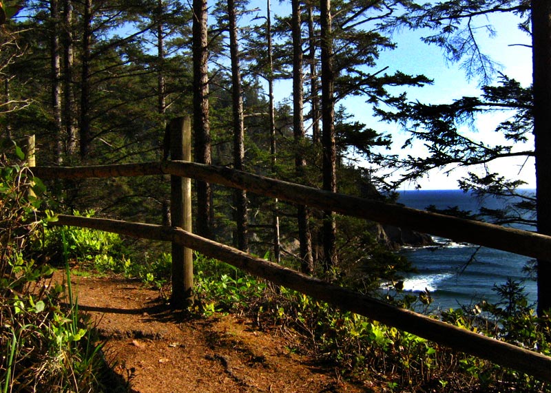 A Favorite Oregon Coast Landmark: Short Sand Beach, at Oswald West State Park