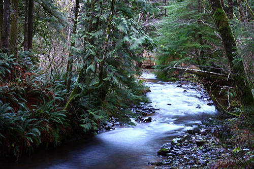 Take a wild moth odyssey on the north Oregon coast later this month