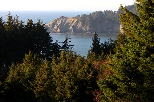 The Striking Rocky Curiosities Near Manzanita, N. Oregon Coast's Stranger Things 