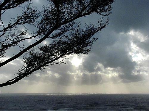 Celebration at N. Oregon Coast's Oswald West Includes Hikes, Science, BBQ