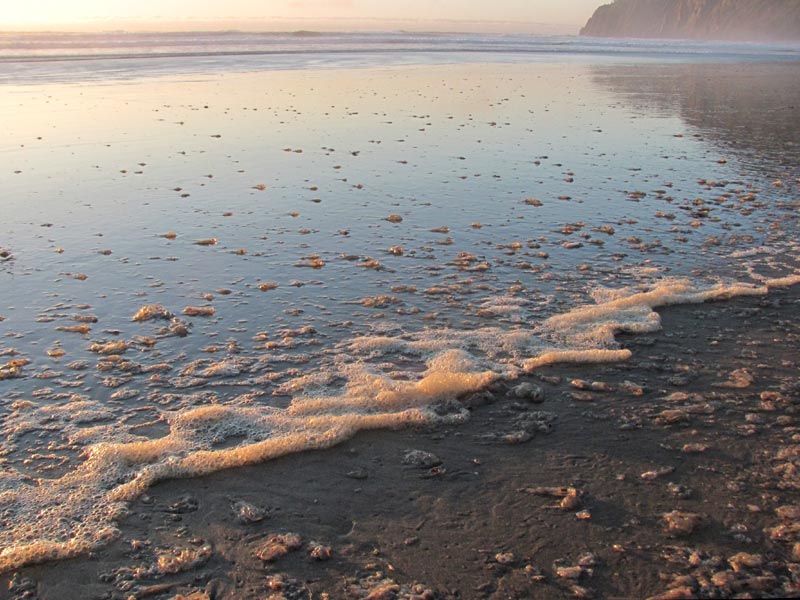 OREGON COAST / WASHINGTON COAST MARINE SCIENCE NEWS, UPDATES, REFERENCE