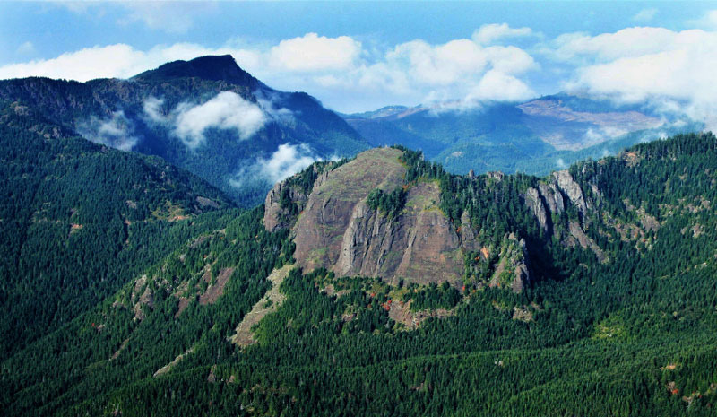 New Rainforest Reserve on N. Oregon Coast Celebrated Nov. 12