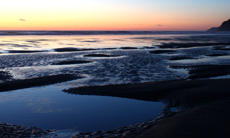 Hidden Summer Dangers at Tideline of Oregon Coast / Washington Coast - Video