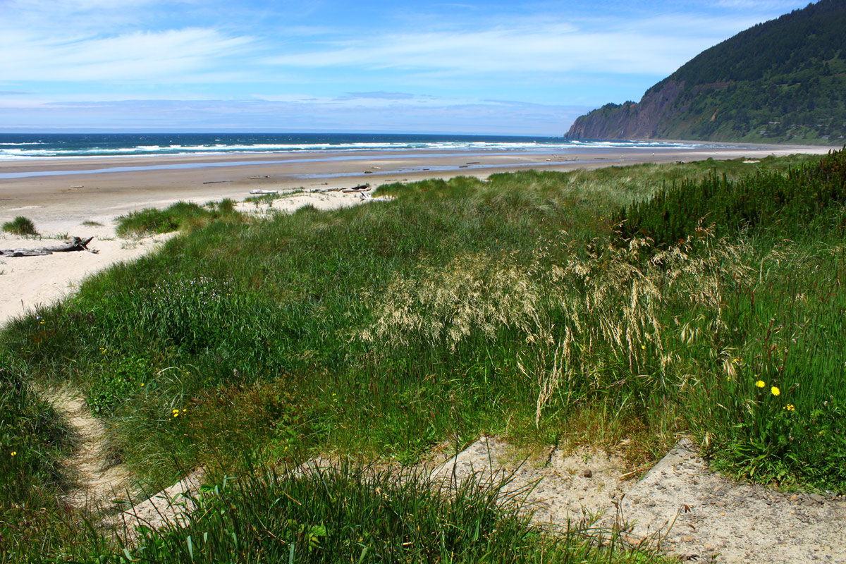 Beaches of Manzanita: Large, Sandy Expanse