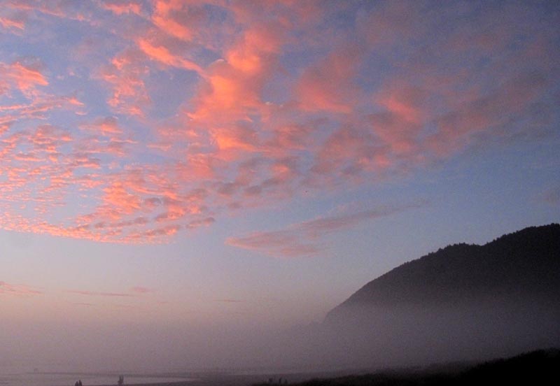 Source of N. Oregon Coast Beach Beeswax on Display in Manzanita 