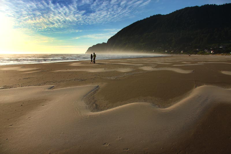 Video: Seven Fantastic Details Along 130 Miles of Oregon Coastline 