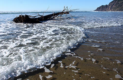 Manzanita, in Tillamook County