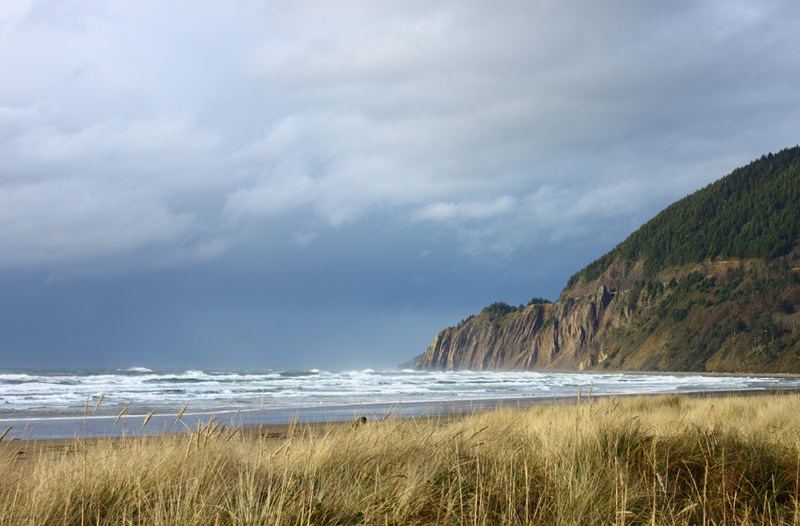 Cyber Monday for Oregon Coast Too: Giving the Beach for Christmas 