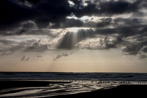 N. Oregon Coast's Manzanita Features Film Fest, Estuary Cleanup, Science Talk 