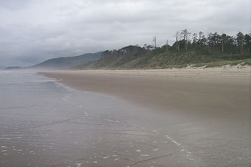 Astounding Hikes, Insane Views of the Oregon Coast