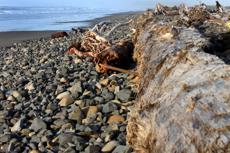 N. Oregon Coast Explorations: Welcome to the Other Cape Meares 