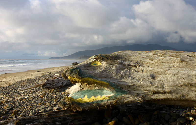 Discovering Monsters on the Oregon Coast