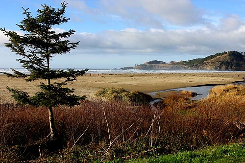 Agate Beach in Newport