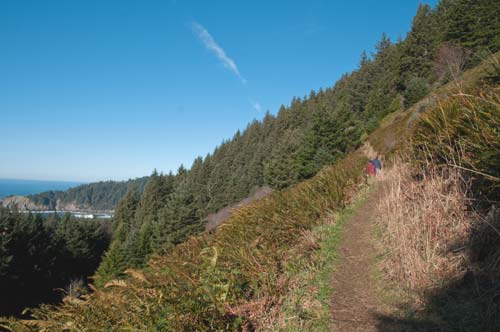 Hiking Neahkahnie Mountain: Manzanita's Marvel Landmark