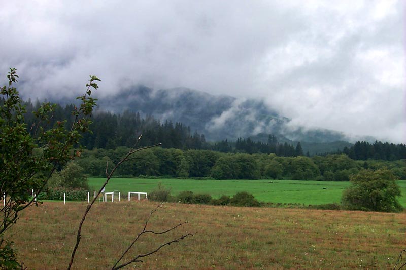 Scenic Highway 53, Just Outside Nehalem