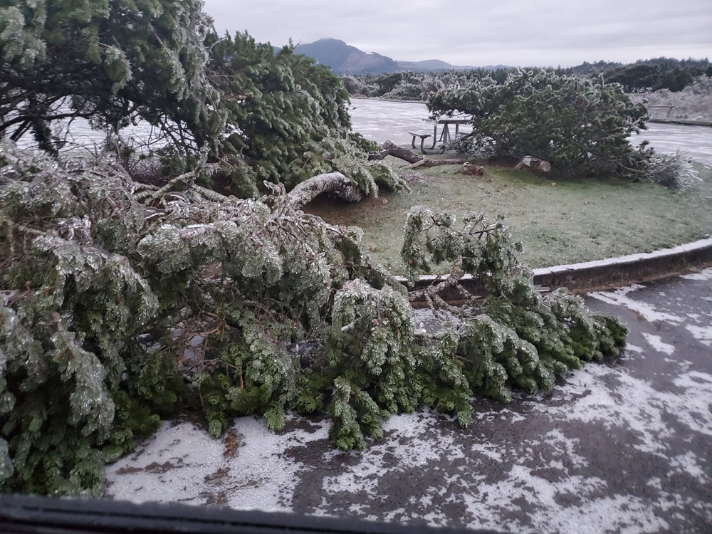 State Parks Damage and Closures, Including Oregon Coast - Landslide and Ice