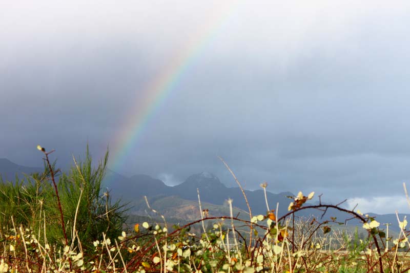 Wowing New Rainforest Reserve on N. Oregon Coast Edges Closer to Reality