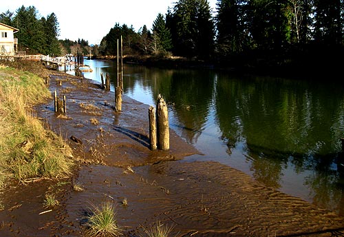 Oregon Coast State Parks: Beach Fire Ban Down South; Nehalem River Plans 