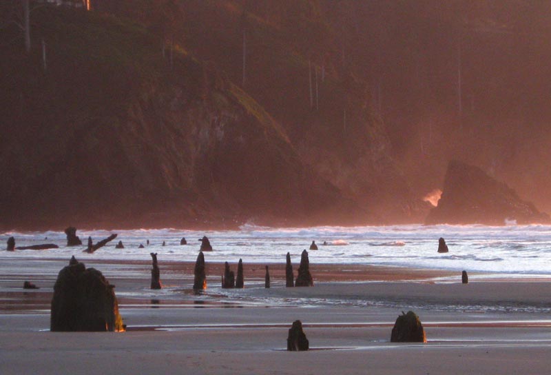 Pacific City's Two Wonder-Inducing Neighbors: Where the North Oregon Coast Begins 