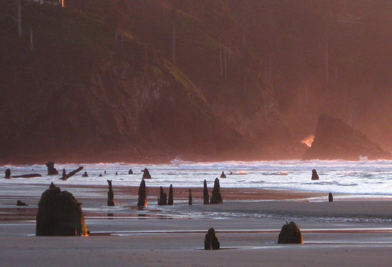 Delights, Surprises in the Details of Neskowin, Where N. Oregon Coast Begins