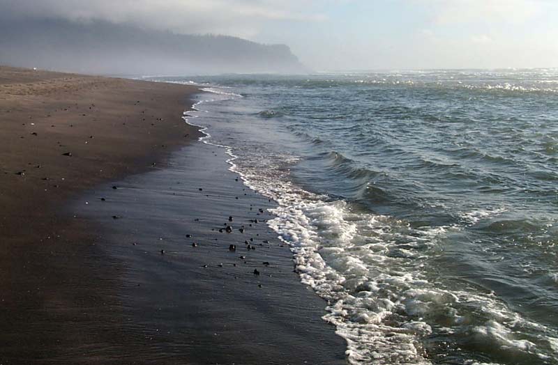 'Horsing' Around At Neskowin and N. Oregon Coast Rocky Surprises 