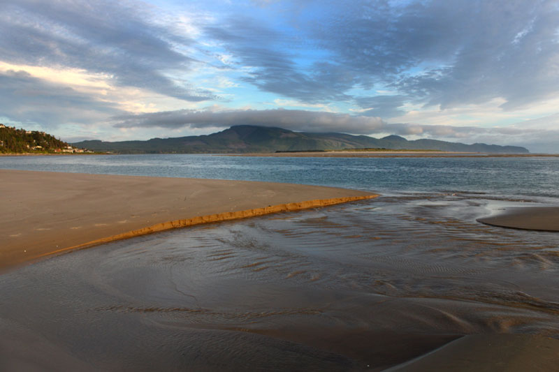 Explore A Distinctive Oregon Coast Ecosytem with July 1 Netarts Spit Hike Event