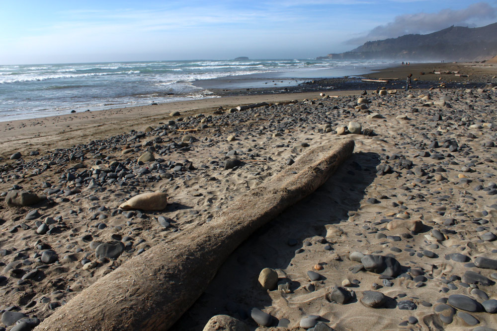 View of Beverly Beach State Park, Just north of Newport