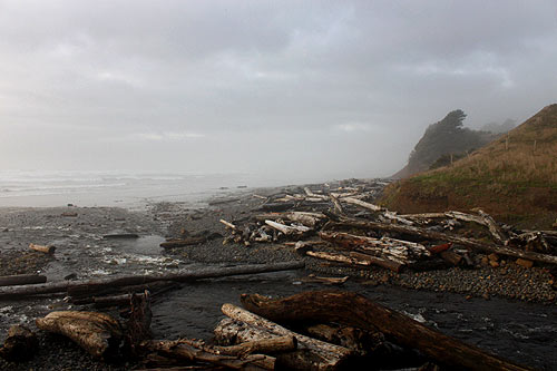 Oregon Coast Officials Seek Input on Lincoln County Park Improvements 